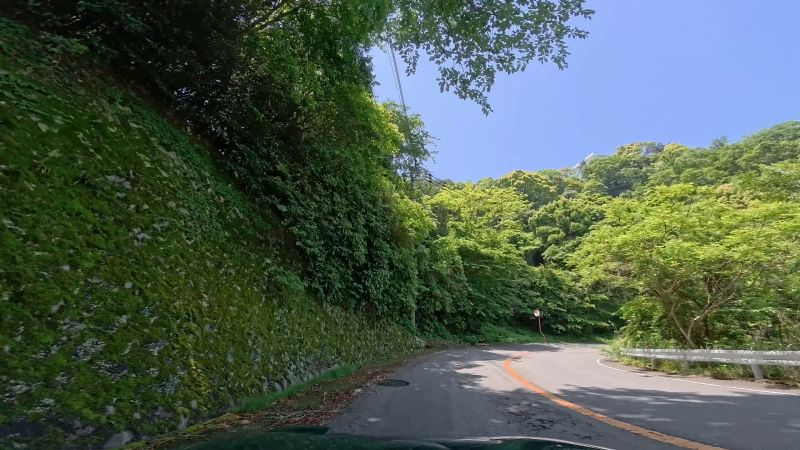頼朝ライン